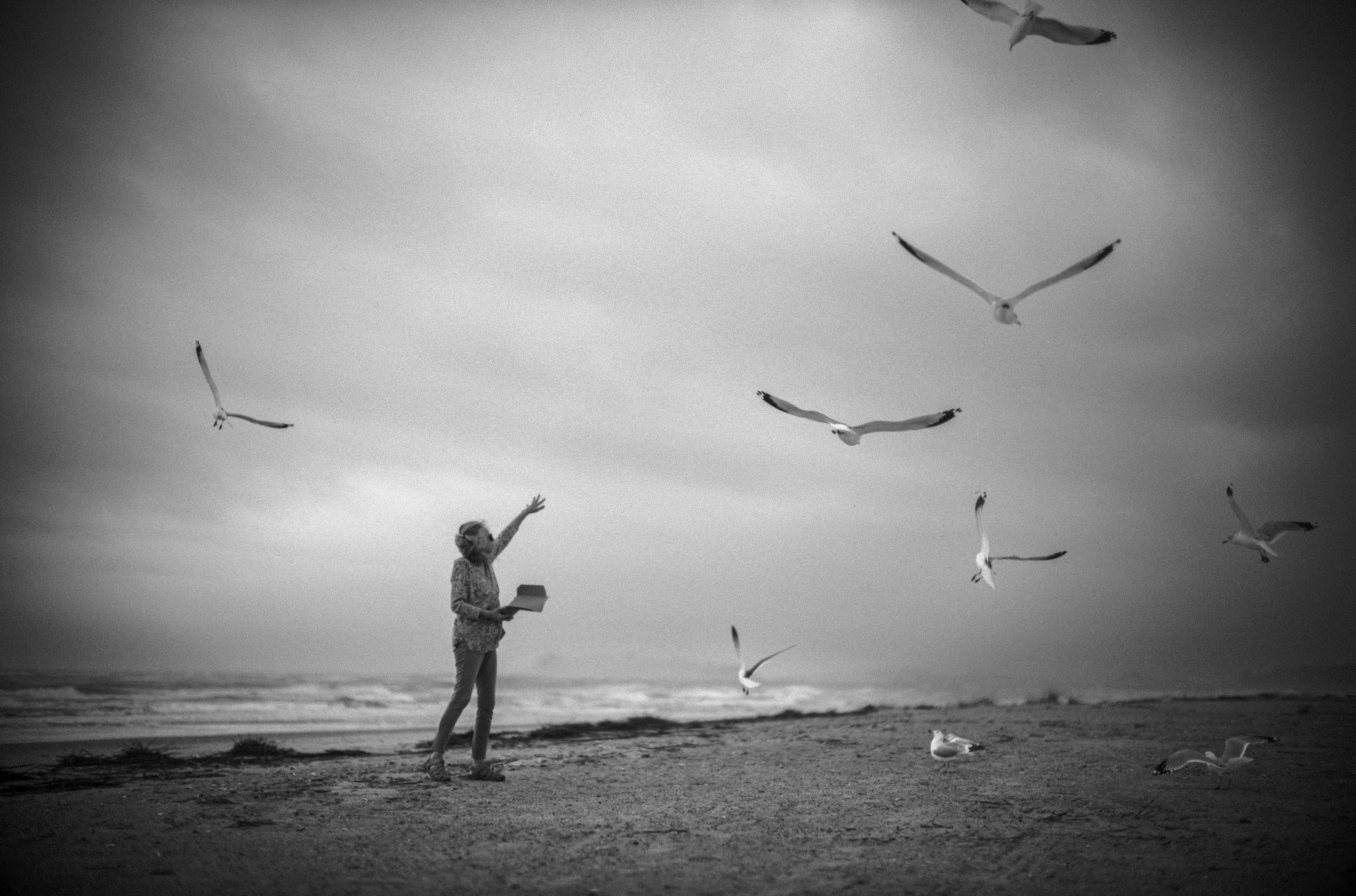 Mom with seagulls